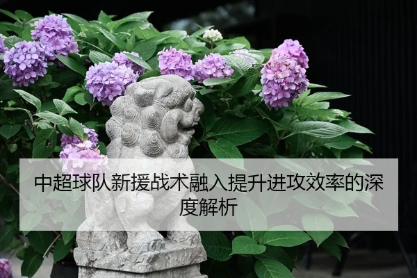 中超球队新援战术融入提升进攻效率的深度解析